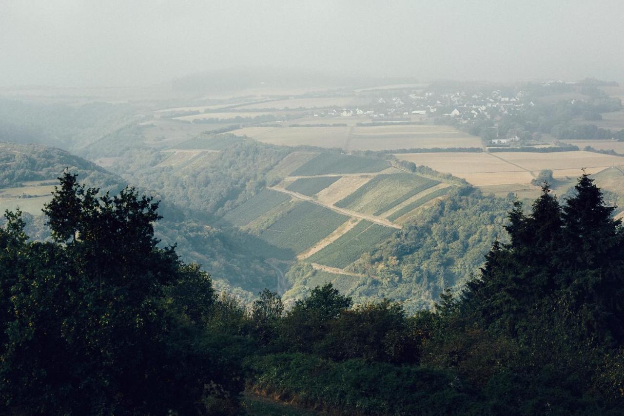 Fetz Das Loreley Hotel Dorscheid Экстерьер фото